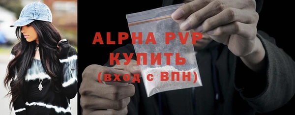 индика Беломорск