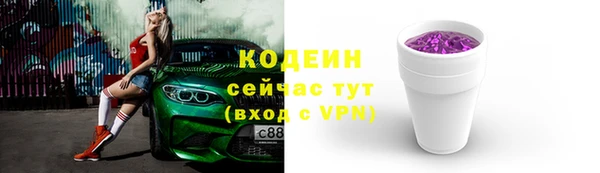 индика Беломорск