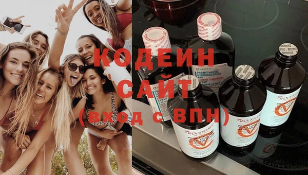 индика Беломорск