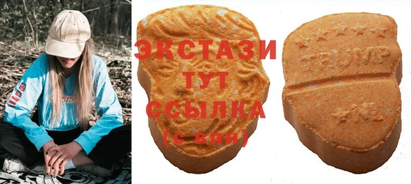 индика Беломорск